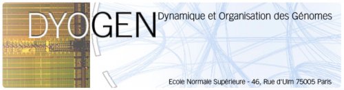 Logo Dynamique et Organisation des Genomes