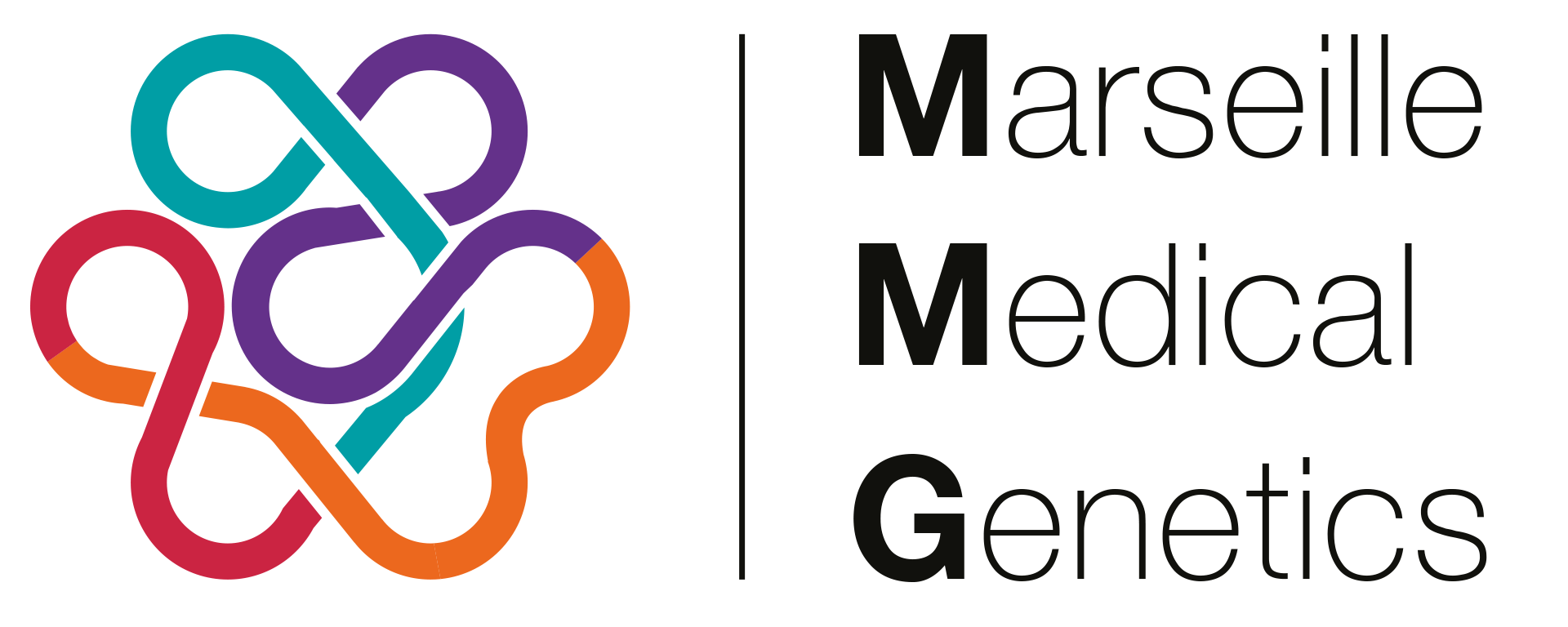 Logo Marseille Medical Genetics - équipe Biomédecine des systèmes (Baudot)
