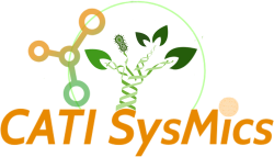 Logo CATI SysMics